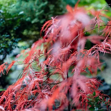 Séjour à la campagne Casa De *