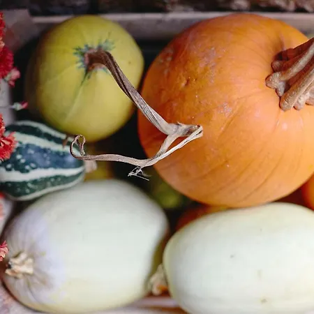 Casa De Séjour à la campagne *